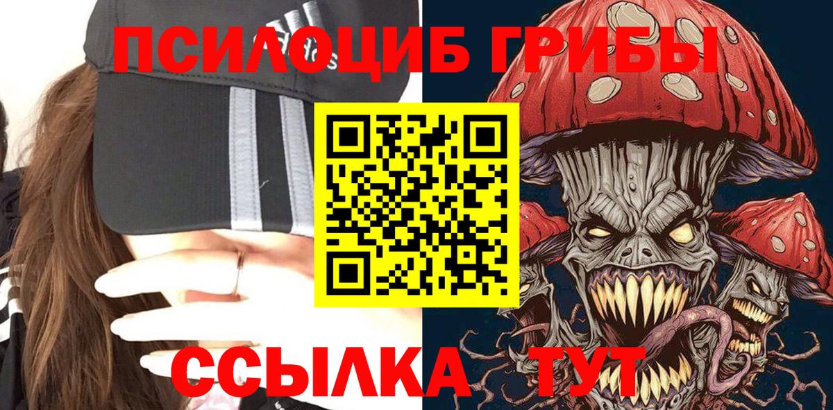Псилоцибиновые грибы Cubensis Киреевск